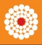 Rug Collections 5